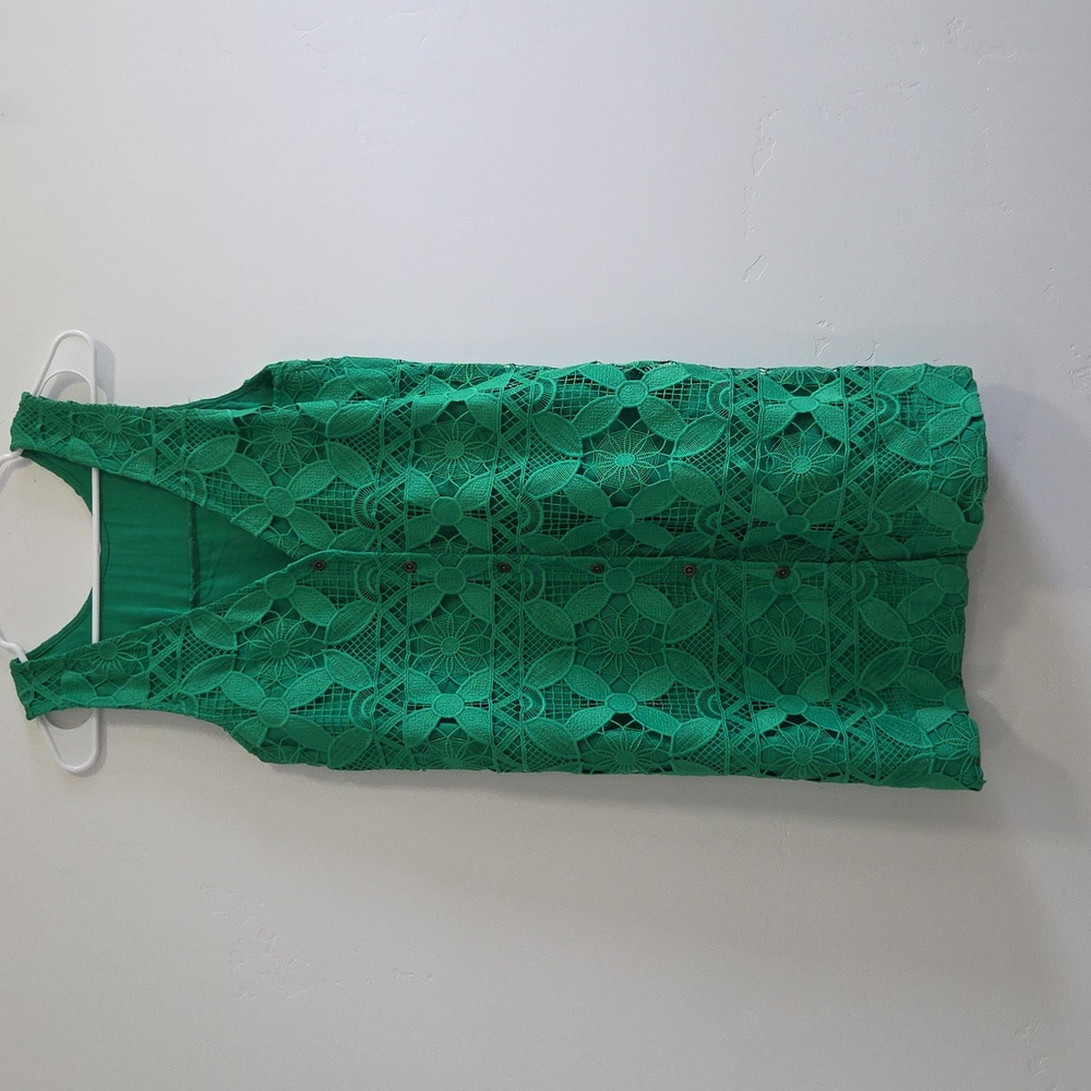 Anthropologie Green Lace Shift Dress - Picture 8 of 8